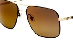 FlightSunglasses Etnia Barcelona Fremont 17 Sun Sunglasses -Flightsunglasses 4 FREM17 SUN BKGD 56 4 1