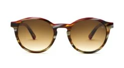 FlightSunglasses Etnia Barcelona Avinyo Sunglasses