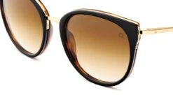 FlightSunglasses Etnia Barcelona Ifara Sun Sunglasses -Flightsunglasses 5 IFARA BKHV 4