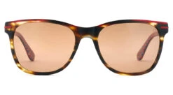 FlightSunglasses Etnia Barcelona Minnesota Sun Sunglasses -Flightsunglasses 5 MINNES 55S HVRD 2