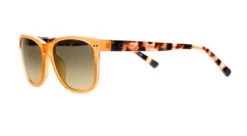 FlightSunglasses Etnia Barcelona SALVÀ Sunglasses -Flightsunglasses 5 SALVA YWHV 3