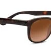 FlightSunglasses Serengeti Anteo 8671 Sunglasses Shiny Dark Tortoise With Polarized Drivers Gradient Lenses -Flightsunglasses 8671anteo2x1 c4b0fbfe 7c27 4ddf 832c 662d6df4eb9e