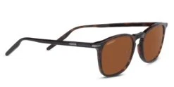 FlightSunglasses Serengeti Delio Single Vision Prescription Sunglasses 26 FlightSunglasses Serengeti Delio Single Vision Prescription Sunglasses -Flightsunglasses 8949 delio driversx2200 0129aa17 545e 4c61 9ba6 7cfe5ed76faf