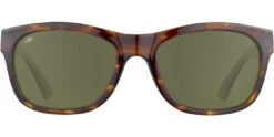 FlightSunglasses Serengeti Chandler Progressive Prescription -Flightsunglasses Chandler ShinyTortoise SaturnPolarized555nmCat2to3B6 02 7ab51644 3355 4963 8d27 2168b23e9d9a