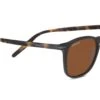 FlightSunglasses Serengeti Delio Single Vision Prescription Sunglasses