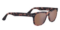 FlightSunglasses Serengeti Foyt Large Progressive Prescription Sunglasses -Flightsunglasses FoytLarge ShinyTortoiseHavana MineralNonPolarizedDriversCat2to3 01
