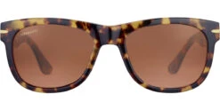 FlightSunglasses Serengeti Foyt Large Sunglasses -Flightsunglasses FoytLarge ShinyTortoiseHavana MineralNonPolarizeddriversCat2to3 02