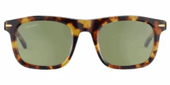 FlightSunglasses Serengeti Charlton Single Vision Prescription Sunglasses -Flightsunglasses SerengetiCharltonSunglassesShinyClassicHavanna555nmGreen f9107d5a 4489 4de1 9b18 f4622ccc17f5