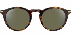 FlightSunglasses Serengeti Raffaele Sunglasses -Flightsunglasses SerengetiraffaeleshinyTortoisefront